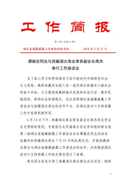 谭徽在同志与西藏湖北商会常务副会长周杰举行工作座谈会(总第45期)